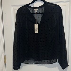 Black Polka Dot Sheer long sleeve beautiful blouse